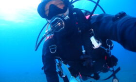 ダイブテリーズ