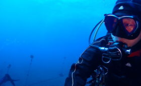 ダイブテリーズ