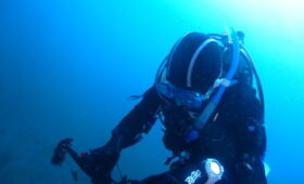 ダイブテリーズ