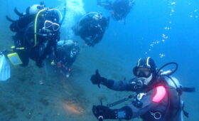 ダイブテリーズ