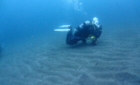 ダイブテリーズ