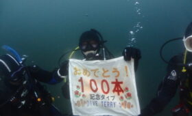 ダイブテリーズ