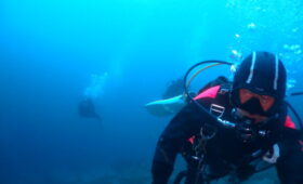 ダイブテリーズ