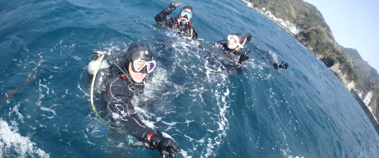 ダイブテリーズ