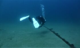 ダイブテリーズ