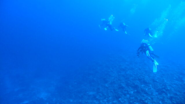 ダイブテリーズ