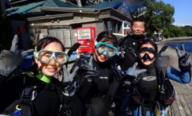 ダイブテリーズ