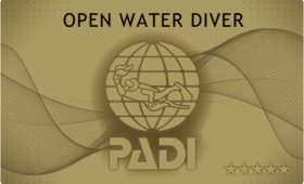 ダイブテリーズ