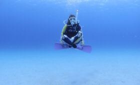 ダイブテリーズ