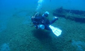 ダイブテリーズ