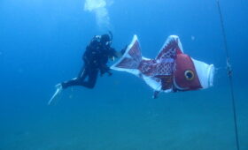 ダイブテリーズ