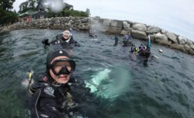 ダイブテリーズ