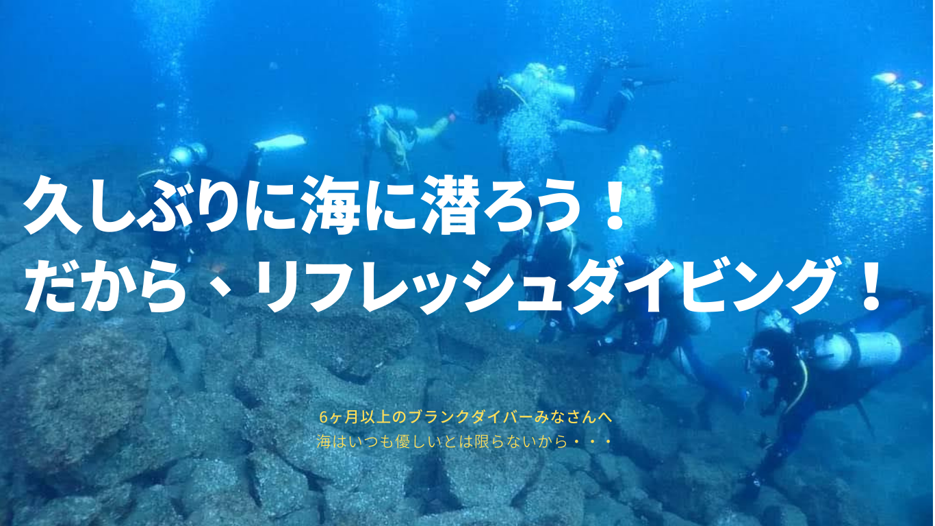 ダイブテリーズ