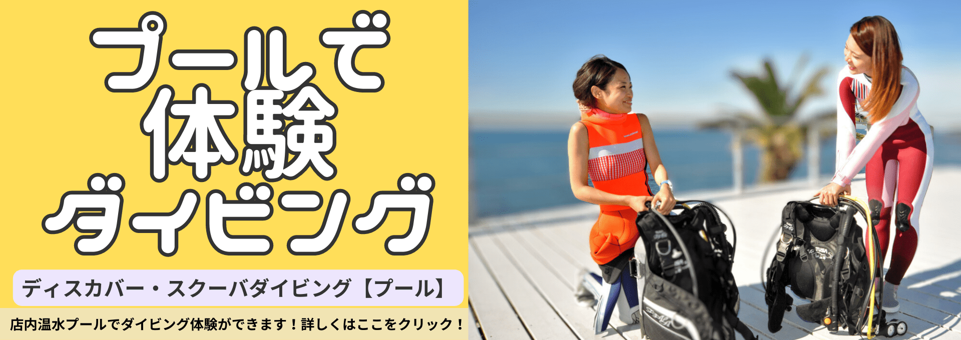 ダイブテリーズ