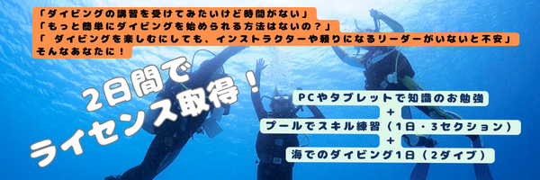 ダイブテリーズ