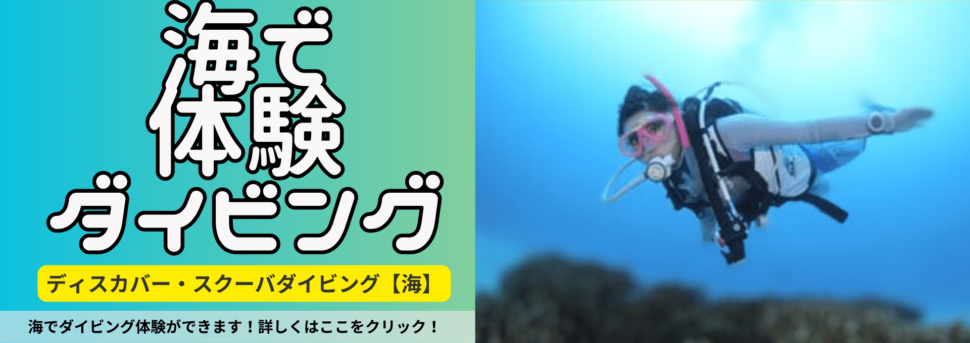 ダイブテリーズ