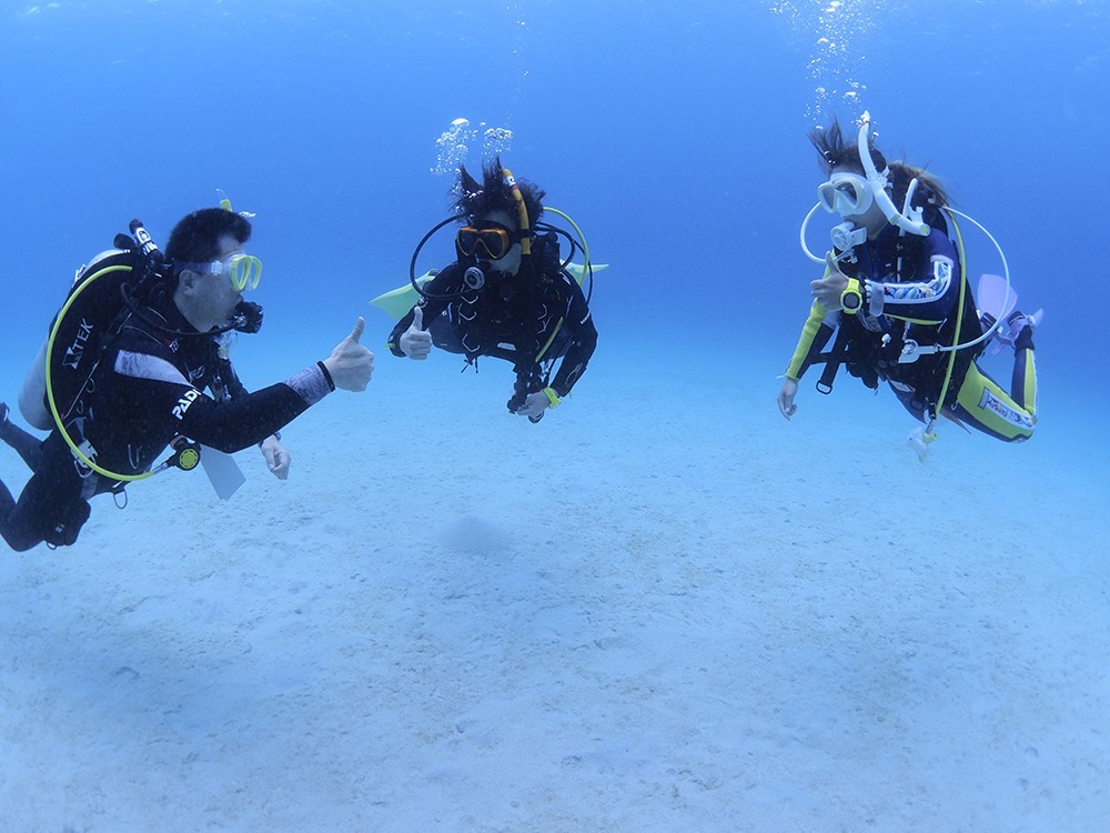 ダイブテリーズ