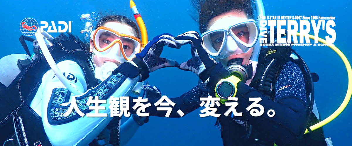 ダイブテリーズ