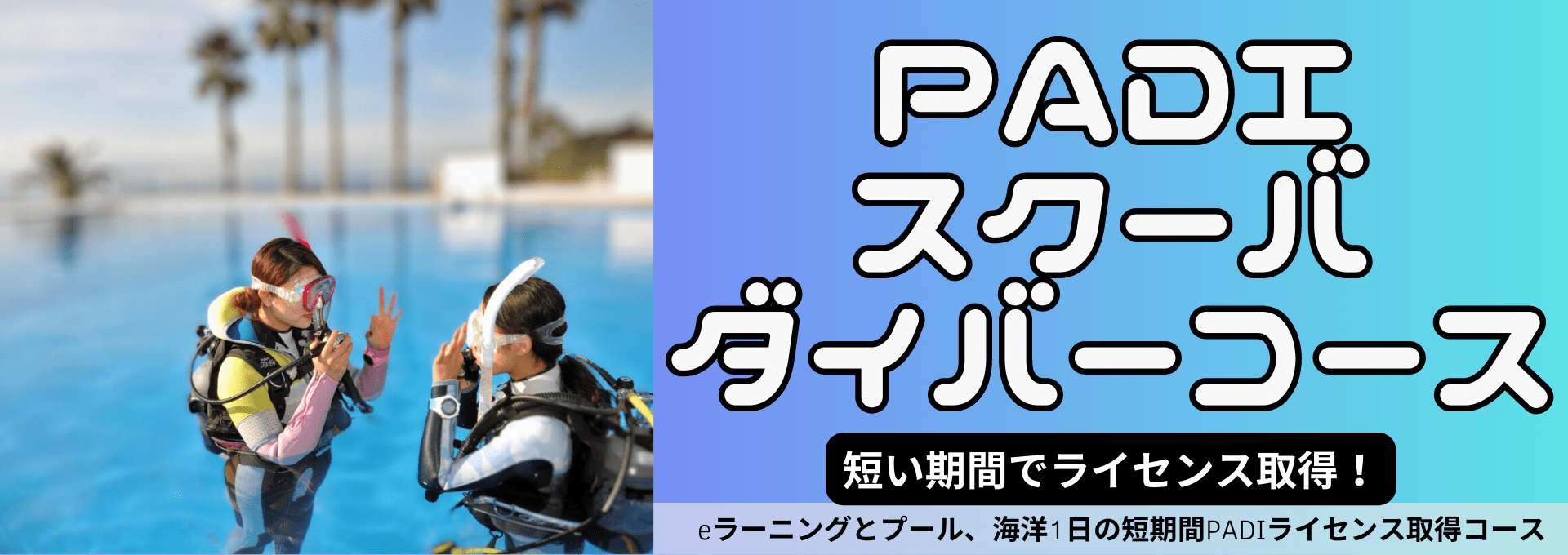 ダイブテリーズ