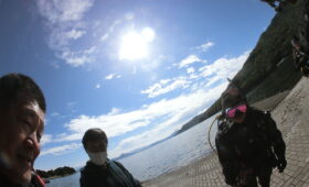 ダイブテリーズ