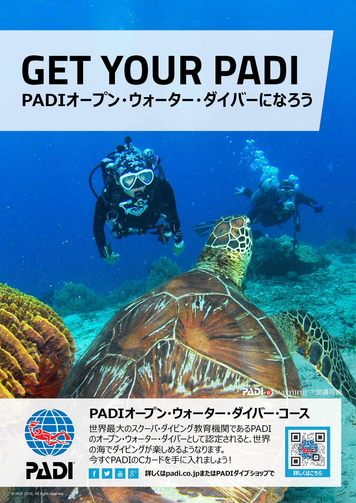 ダイブテリーズ