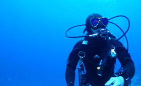 ダイブテリーズ