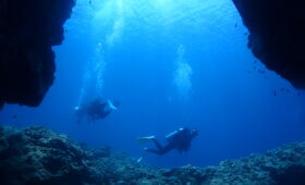 ダイブテリーズ