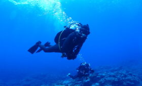 ダイブテリーズ