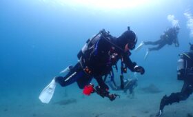 ダイブテリーズ