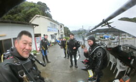 ダイブテリーズ