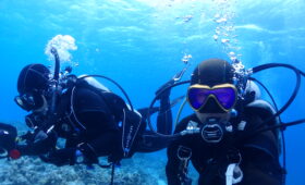 ダイブテリーズ