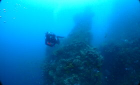 ダイブテリーズ