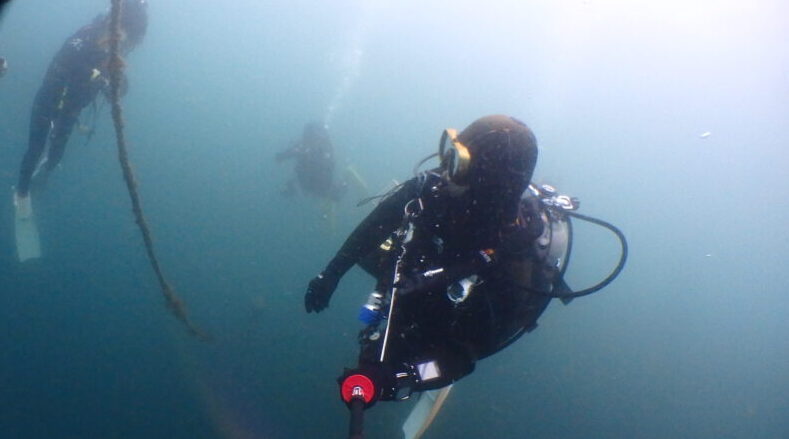 ダイブテリーズ