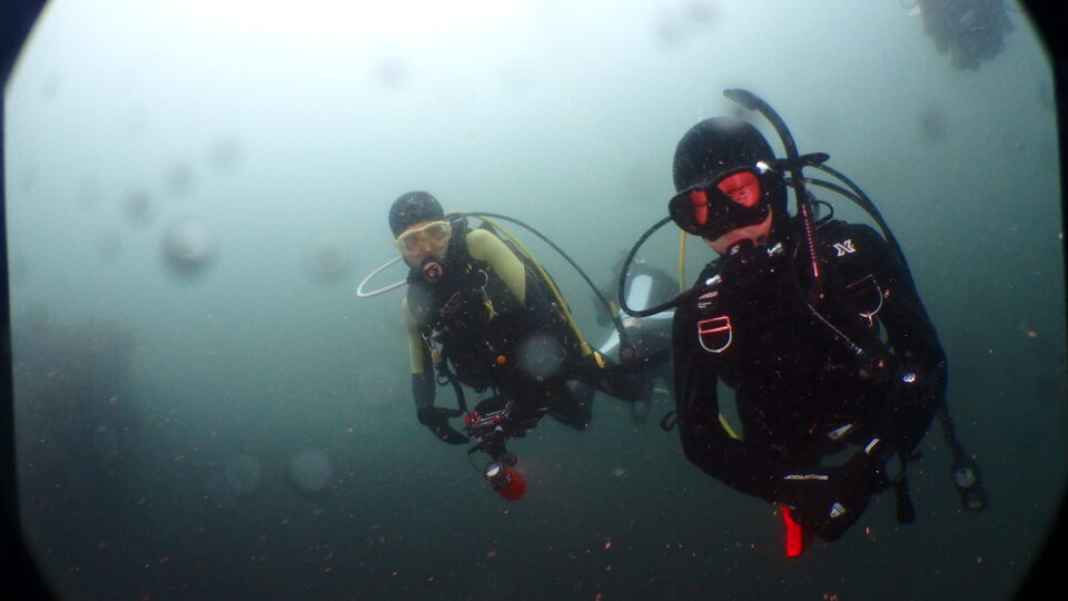 ダイブテリーズ