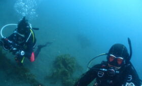 ダイブテリーズ