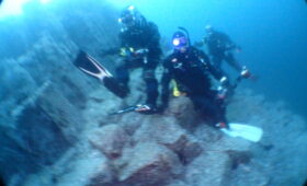 ダイブテリーズ