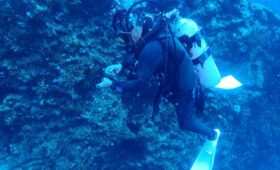 ダイブテリーズ