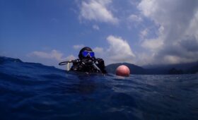 ダイブテリーズ