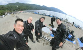 ダイブテリーズ