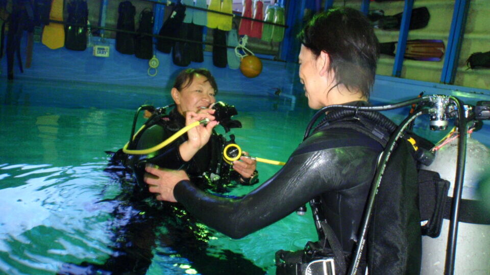 ダイブテリーズ