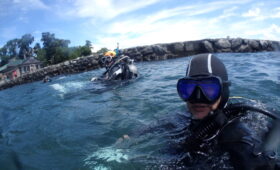 ダイブテリーズ