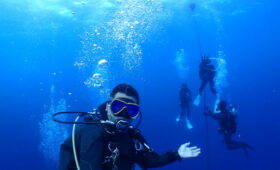 ダイブテリーズ