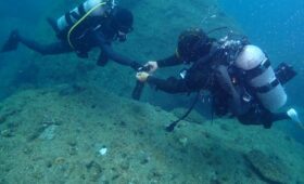 ダイブテリーズ