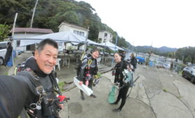 ダイブテリーズ