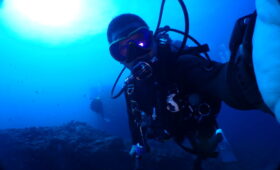 ダイブテリーズ