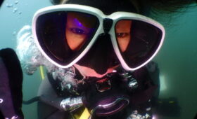 ダイブテリーズ