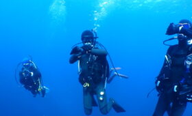 ダイブテリーズ