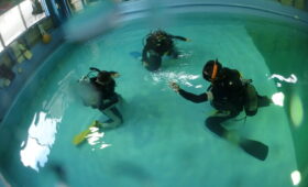 ダイブテリーズ