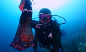 ダイブテリーズ