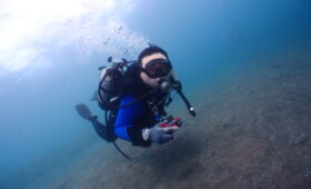 ダイブテリーズ